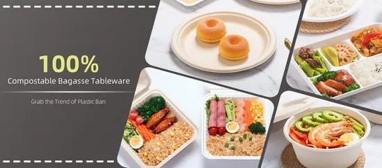 Contenitore per il pranzo rettangolare in plastica da asporto, piatto per alimenti per smaltimento, 1 scomparto